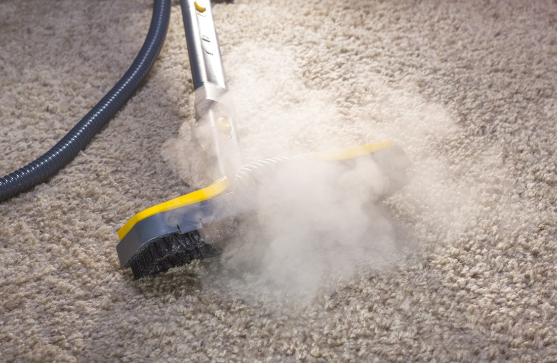 Carpet Cleaning Services in Fort Collins, CO